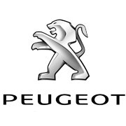 Lakstift PEUGEOT MOTOR (12ml)