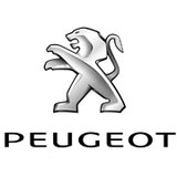 Lakpen PEUGEOT MOTOR (12ml)_